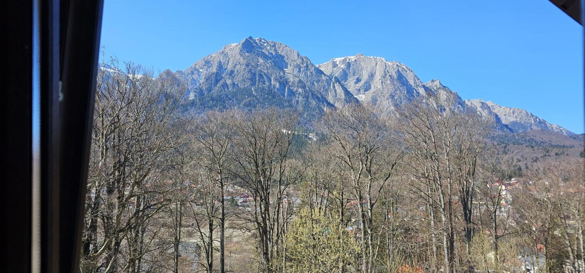 Pensiunea Clasic Buşteni Extérieur photo